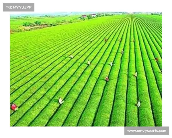 中国三大赛场首批通过绿色认证标准 实施绿色场馆建设迈出关键步伐 中国三大赛场首批通过绿色认证标准 实施绿色场馆建设迈出关键步伐